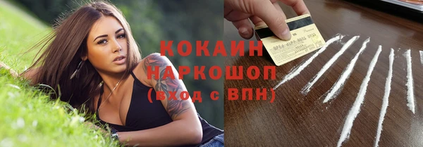 ПСИЛОЦИБИНОВЫЕ ГРИБЫ Верхний Тагил