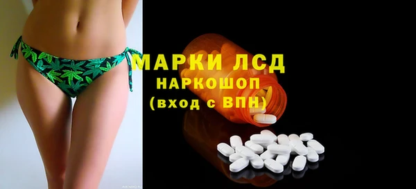 гидра Верея