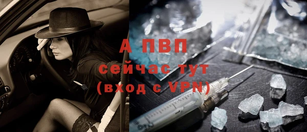ПСИЛОЦИБИНОВЫЕ ГРИБЫ Верхний Тагил